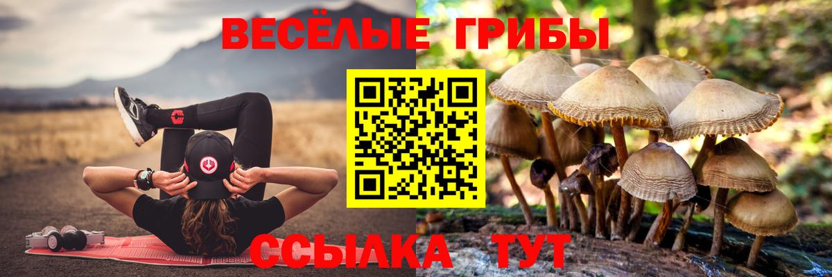 Иваново  Галлюциногенные грибы GOLDEN TEACHER  Вход с VPN 